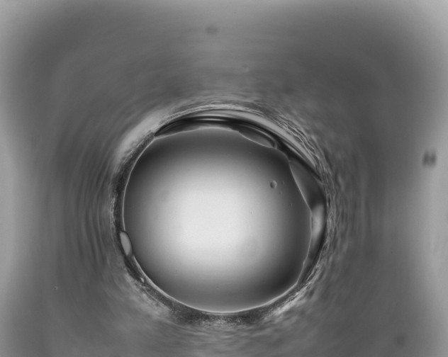 X0000089350197200706221145