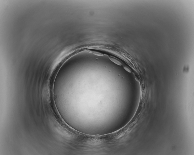 X0000089350198200706221145