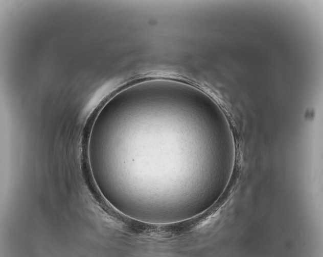 X0000089350199200706221145