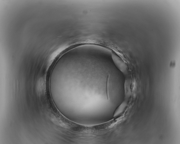 X0000089350200200706221145