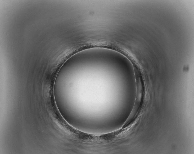 X0000089350201200706221145