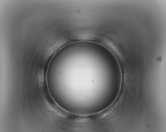X0000089350202200706221145