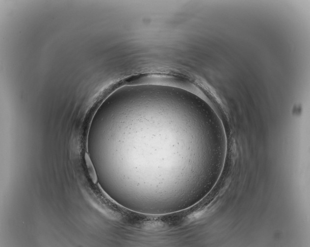 X0000089350203200706221145