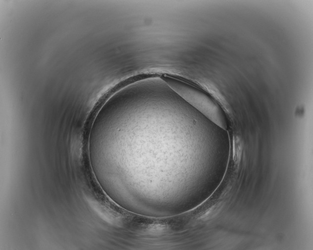 X0000089350204200706221145
