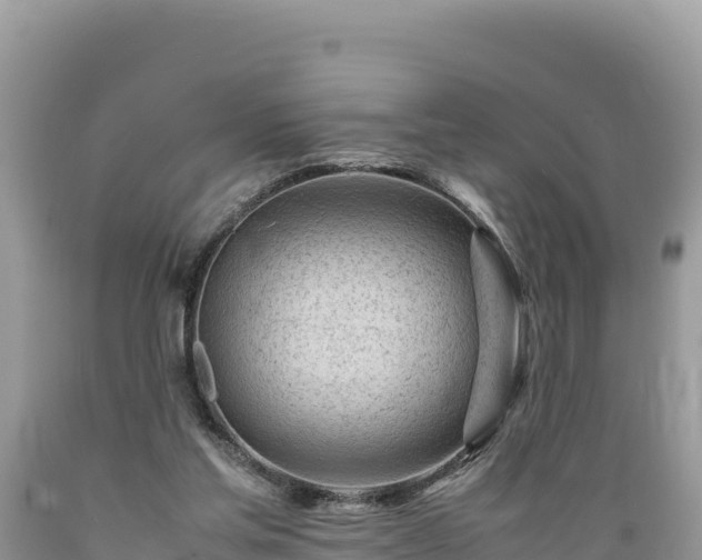 X0000089350205200706221145