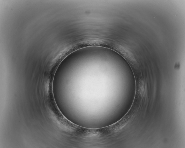 X0000089350206200706221145