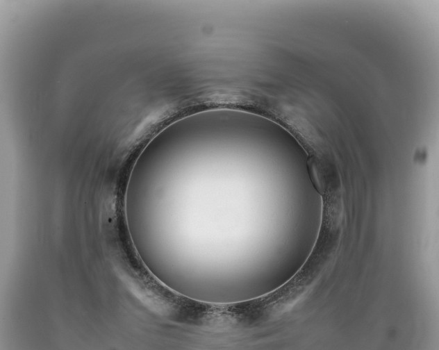 X0000089350207200706221145