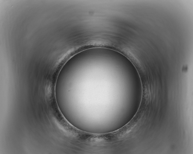 X0000089350208200706221145
