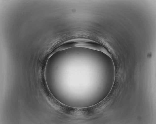 X0000089350209200706221145