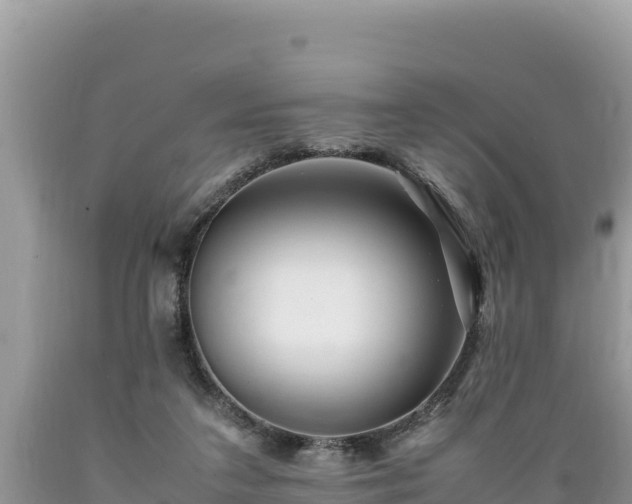 X0000089350211200706221145
