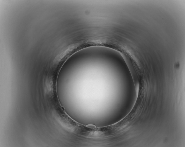X0000089350212200706221145