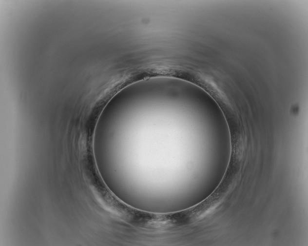 X0000089350213200706221145