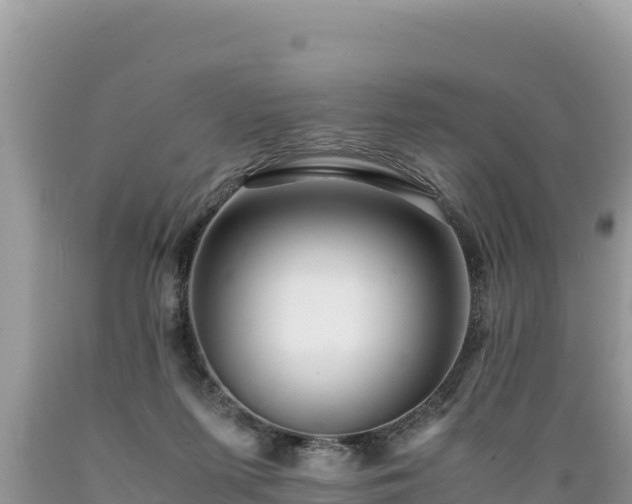 X0000089350215200706221145