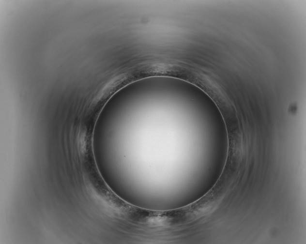 X0000089350216200706221145