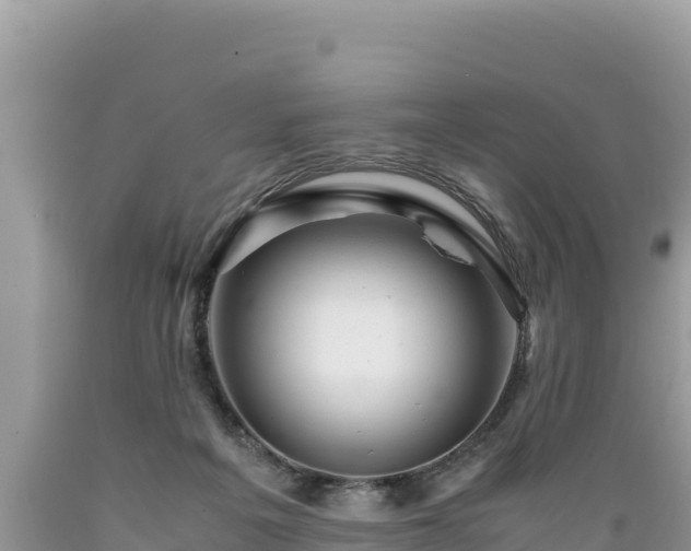 X0000089350217200706221145