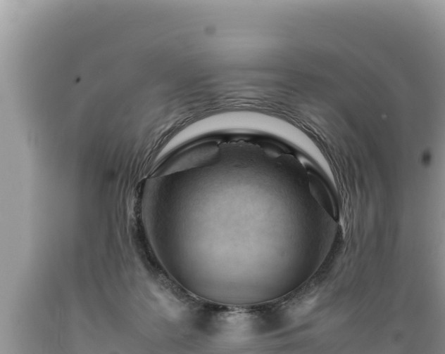 X0000089350219200706221145