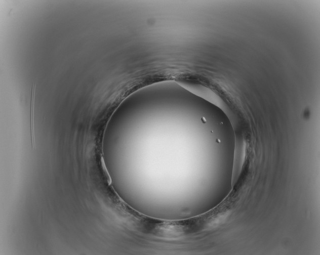 X0000089350221200706221145
