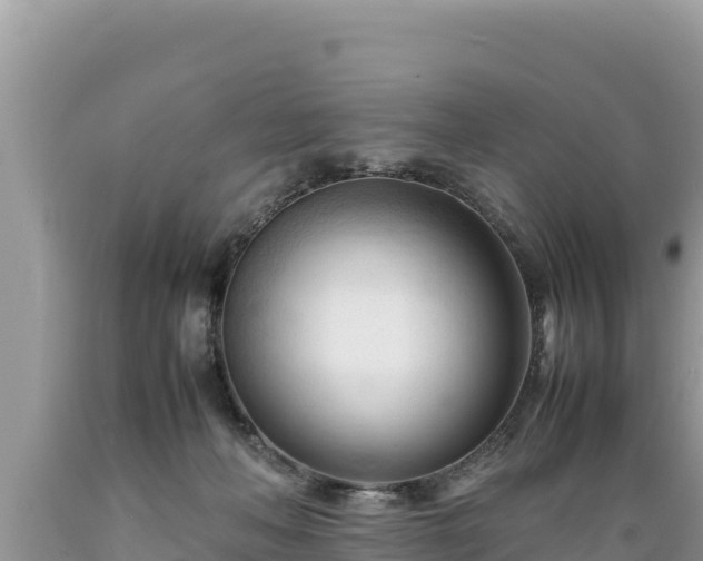 X0000089350222200706221145