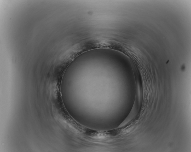 X0000089350223200706221145