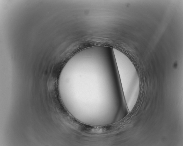 X0000089350225200706221145