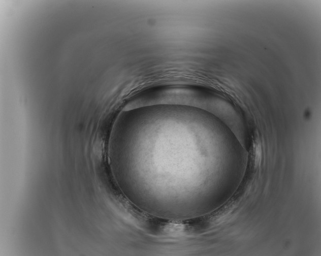 X0000089350227200706221145