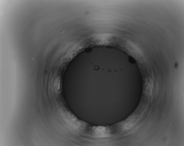 X0000089350230200706221145