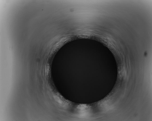 X0000089350231200706221145
