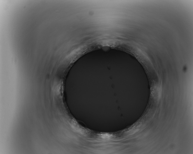 X0000089350233200706221145
