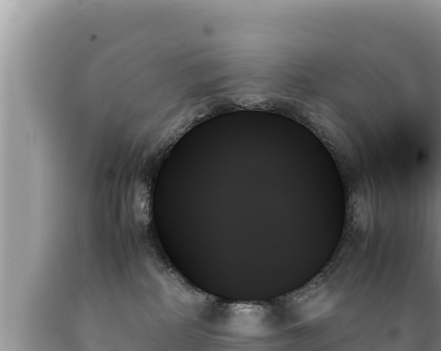 X0000089350234200706221145