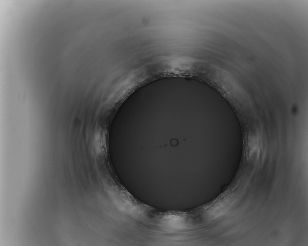X0000089350236200706221145