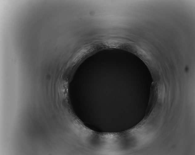 X0000089350237200706221145
