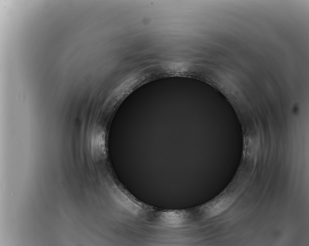 X0000089350238200706221145