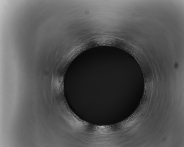 X0000089350239200706221145