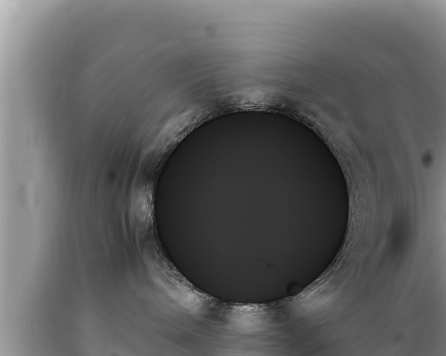 X0000089350240200706221145