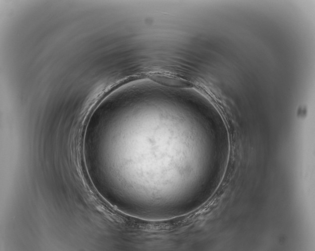 X0000089350241200706221144