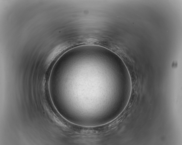X0000089350242200706221144