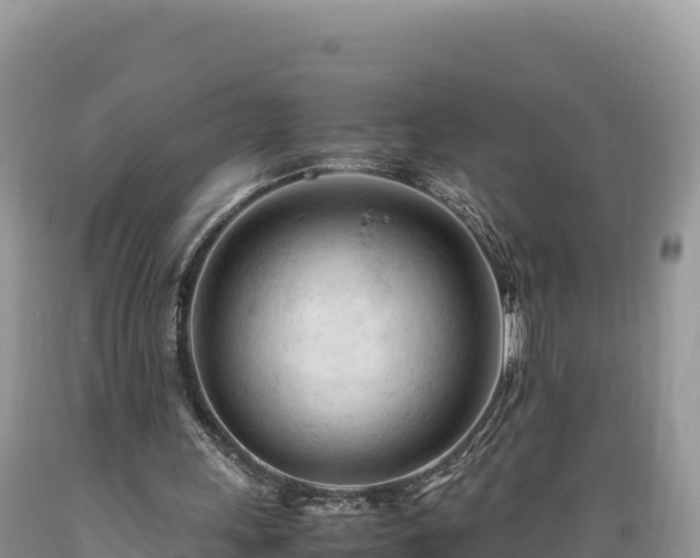 X0000089350243200706221144