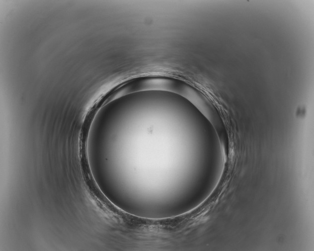 X0000089350244200706221144