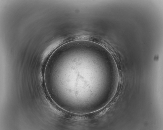 X0000089350245200706221144
