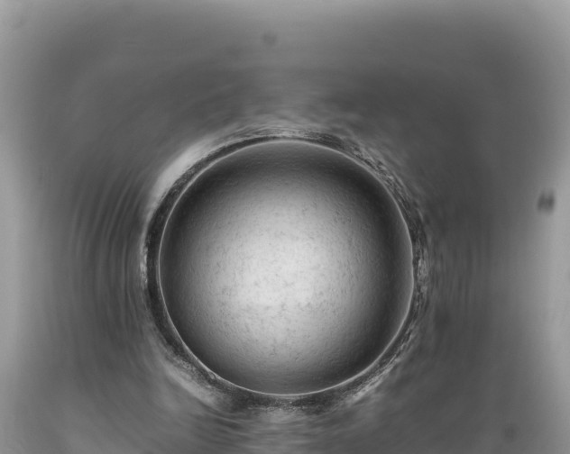 X0000089350246200706221144