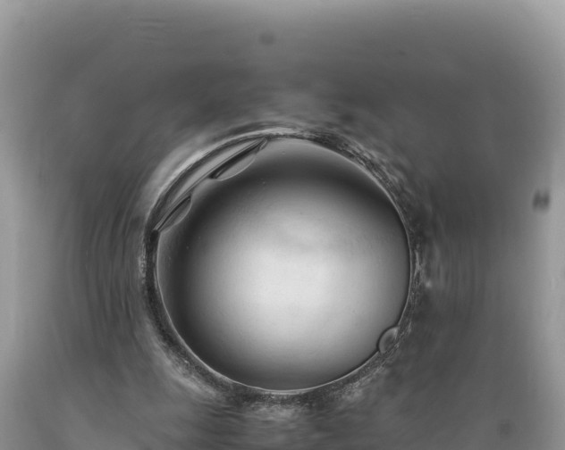 X0000089350247200706221144