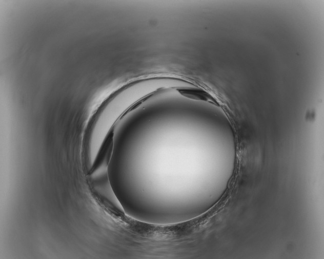 X0000089350248200706221144