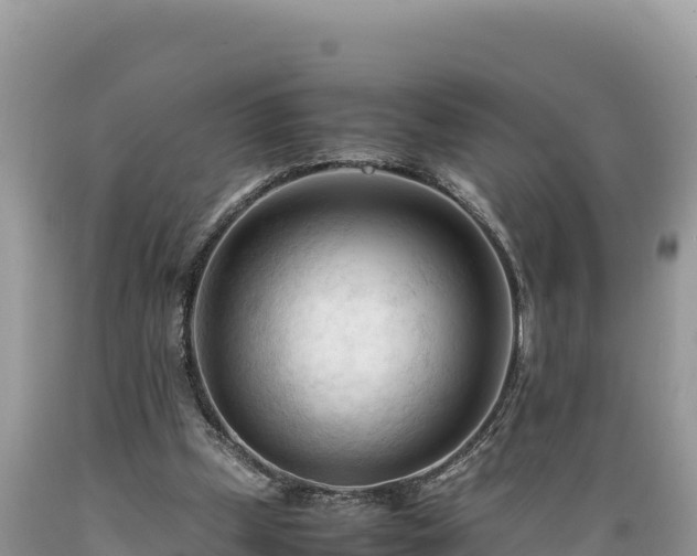 X0000089350249200706221144