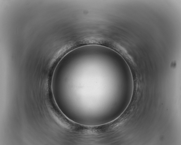 X0000089350250200706221144