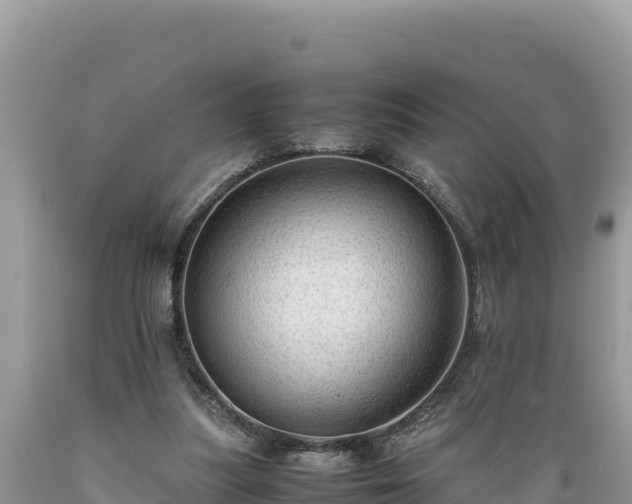 X0000089350251200706221144