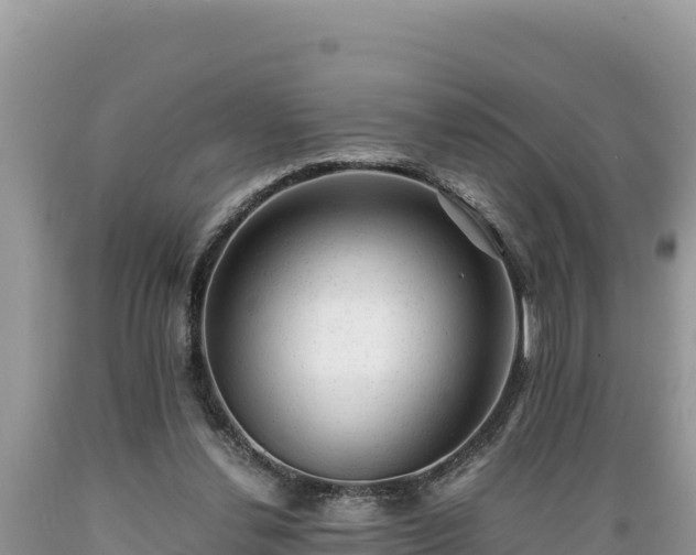 X0000089350252200706221144