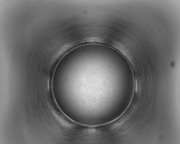 X0000089350253200706221144