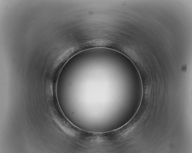 X0000089350254200706221144
