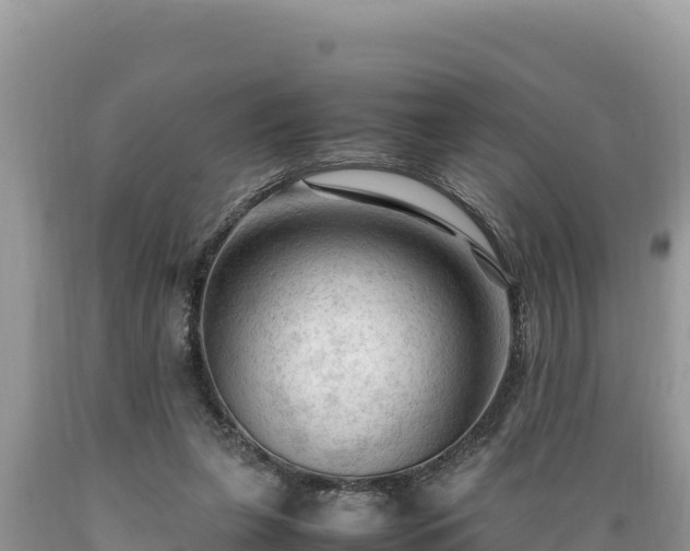 X0000089350255200706221144