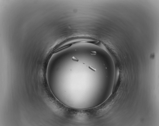 X0000089350256200706221144